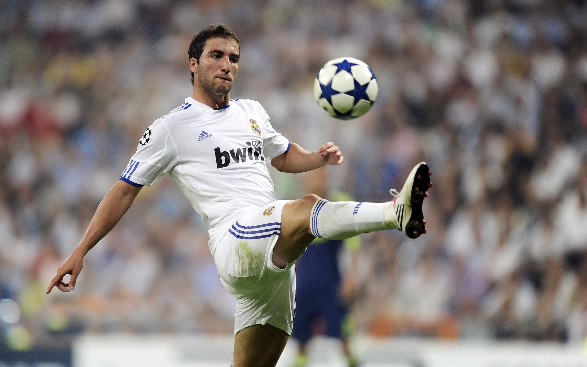 美洲杯滴水不漏的防守：坚不可摧的防线背后，美洲 杯