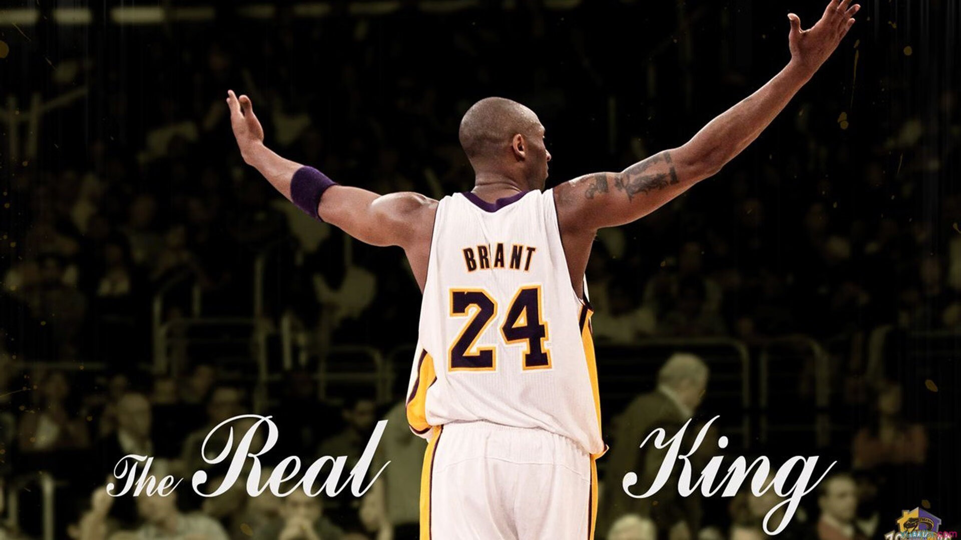 体育新闻中心支持体育IP产业内容合作联盟平台建设，体育新闻首页